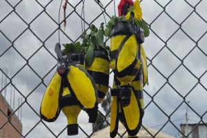 MASETEROS ECOLÓGICOS CON RECICLAJE