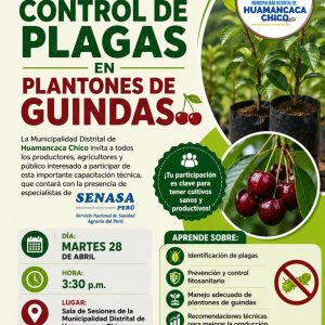 🌱 ¡Capacitación en Cultivo de Guindas para Nuestros Vecinos! 🍒